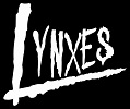 logo_linxes